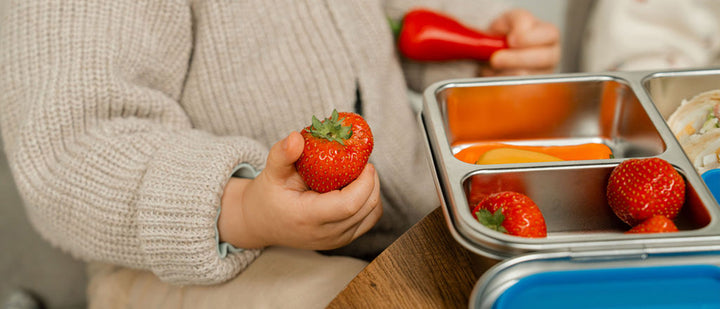 Why stainless steel lunchboxes are the safest choice for kids
